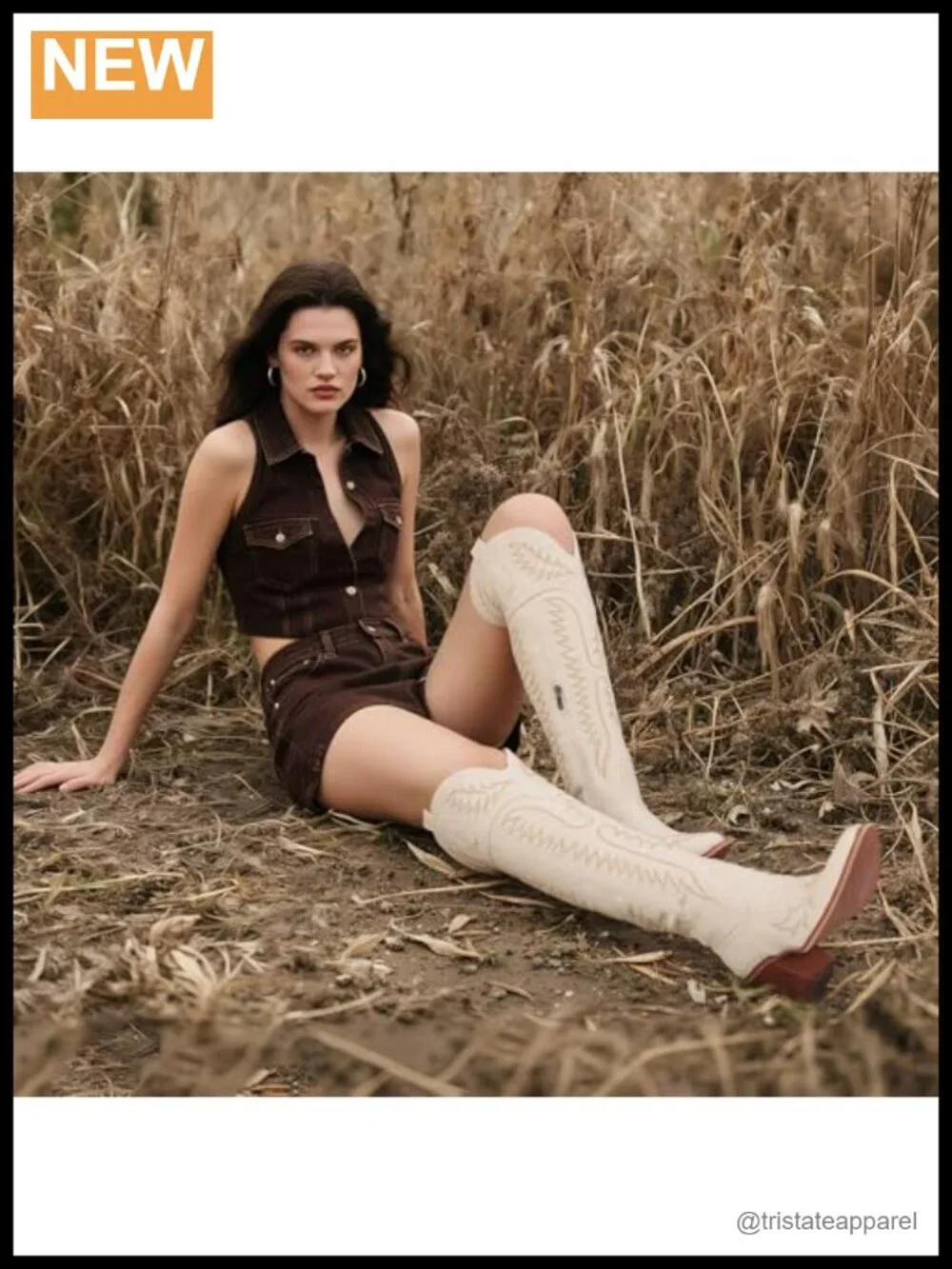 Over Knee Cowgirl Boots Women Western Tall Pointed Toe Block Heel